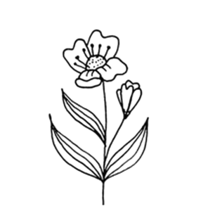 Remedii naturale pentru piele 6biologico