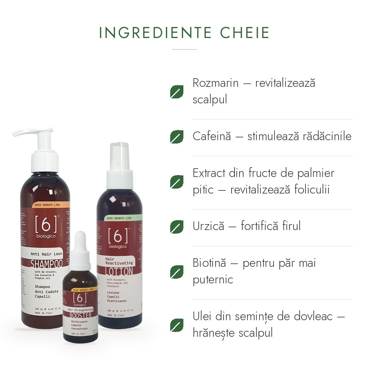 Ingrediente cheie: rozmarin, cafeină, extract din fructe de palmier pitic, urzică, biotină, ulei din semințe de dovleac